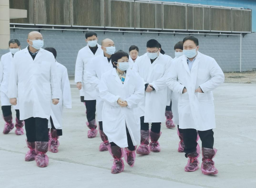 河南省郑州市人民政府副市长李凤芝一行莅临B体育在线平台（中国）官网河南瑞亚参观调研