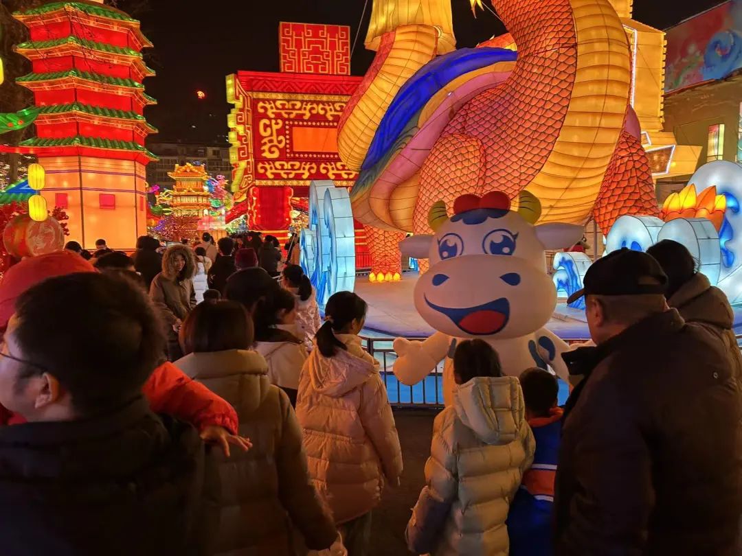 央视直播郑州龙年灯会迎新春，B体育在线平台（中国）官网品牌上大分