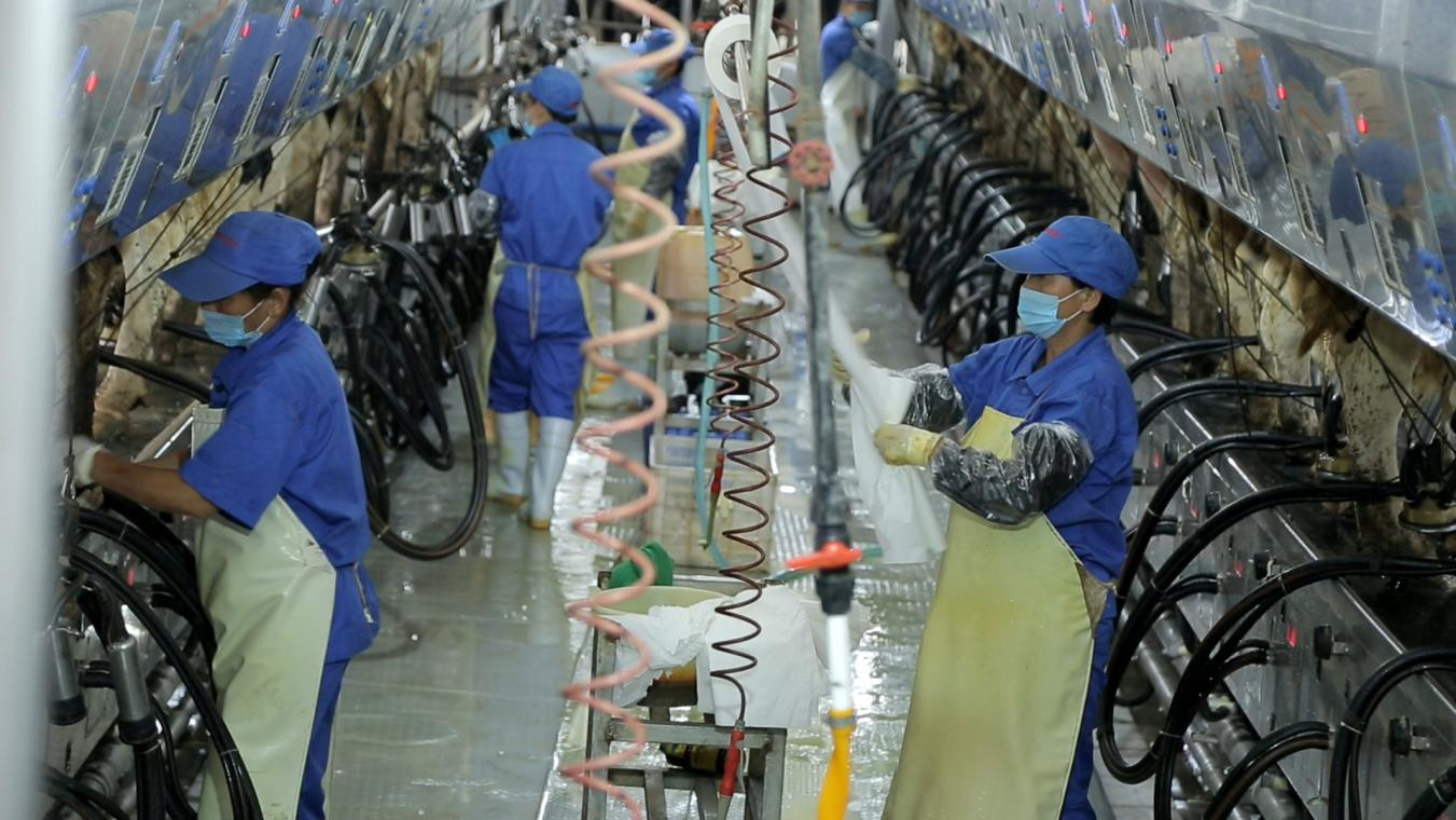 B体育在线平台（中国）官网丨河南农业大学党委副书记、校长介晓磊一行莅临B体育在线平台（中国）官网河南瑞亚参观调研