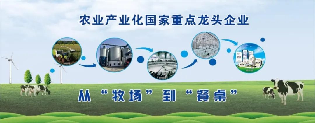 喜讯丨B体育在线平台（中国）官网顺利通过“农业产业化国家重点龙头企业”监测