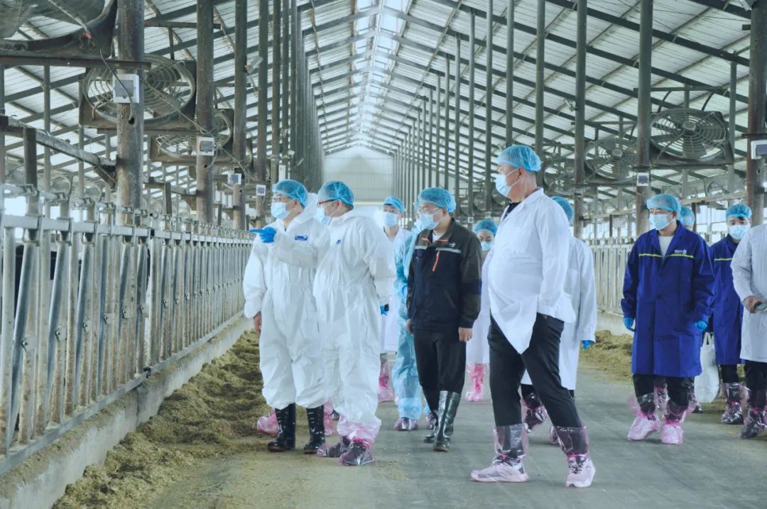 B体育在线平台（中国）官网丨国家奶牛产业技术体系首席科学家、中国农业大学教授李胜利一行莅临B体育在线平台（中国）官网鲁山瑞亚参观调研