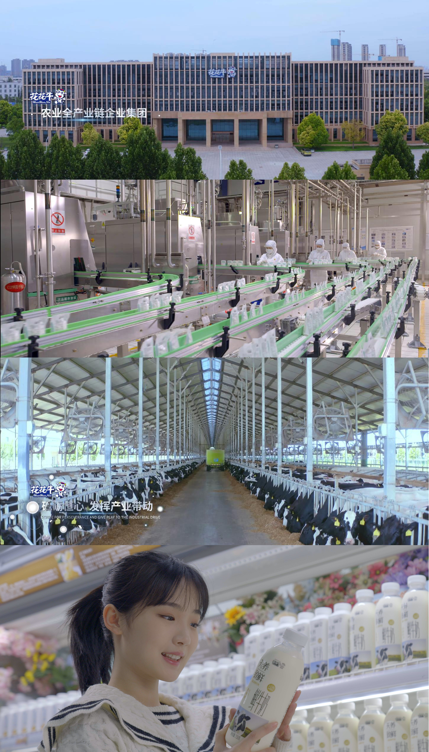 快讯 | 沈阳市政府副市长郑滨一行莅临B体育在线平台（中国）官网乳业集团考察