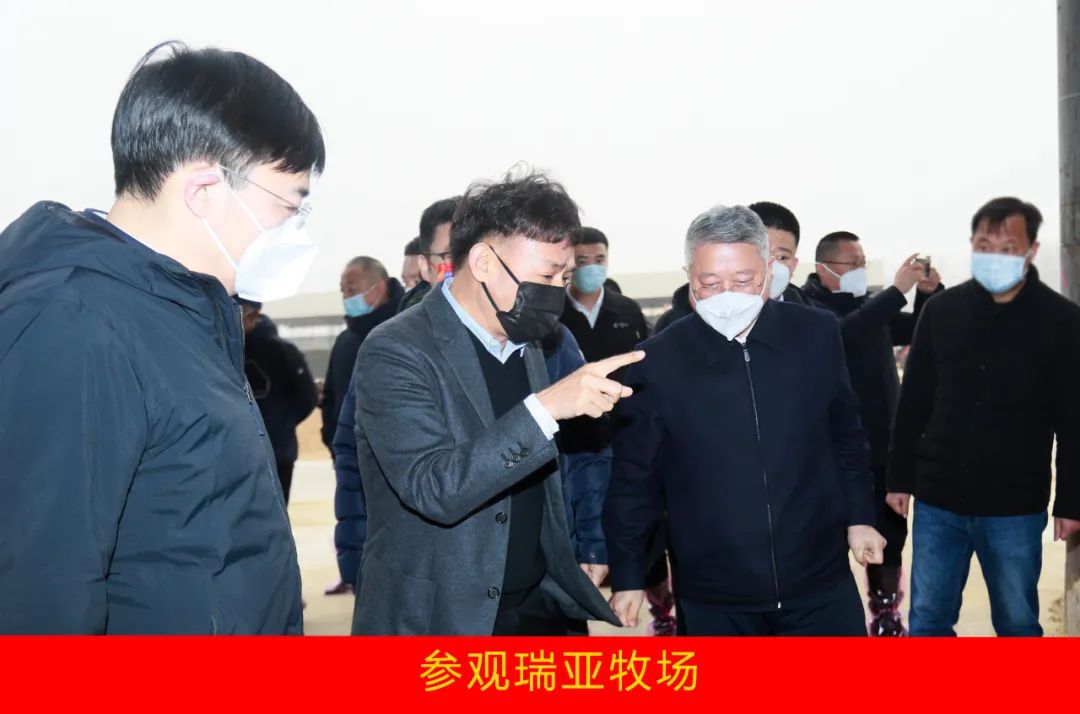新年开新局 合作促发展丨佳木斯市委常委、副市长闫志刚一行莅临B体育在线平台（中国）官网乳业集团及佳田企业考察座谈