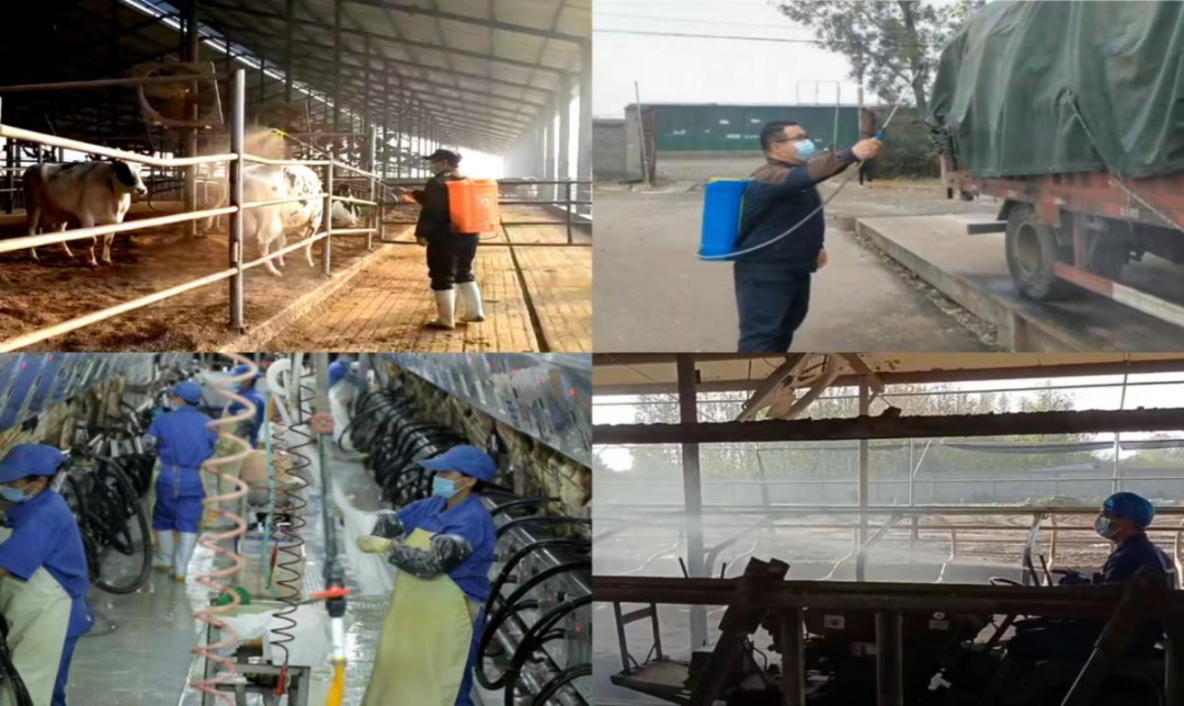 @全体B体育在线平台（中国）官网人：请珍惜你的岗位，请善待我们共同的“B体育在线平台（中国）官网”！