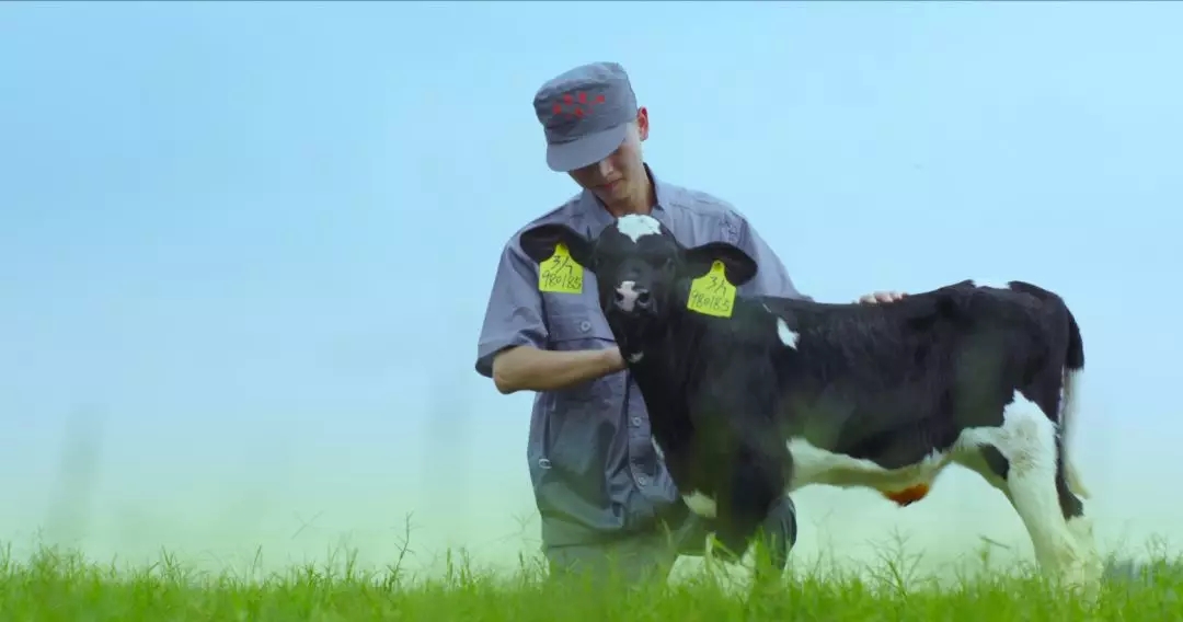 河南省人大常委会党组书记、副主任孔昌生莅临B体育在线平台（中国）官网鲁山瑞亚牧场参观调研