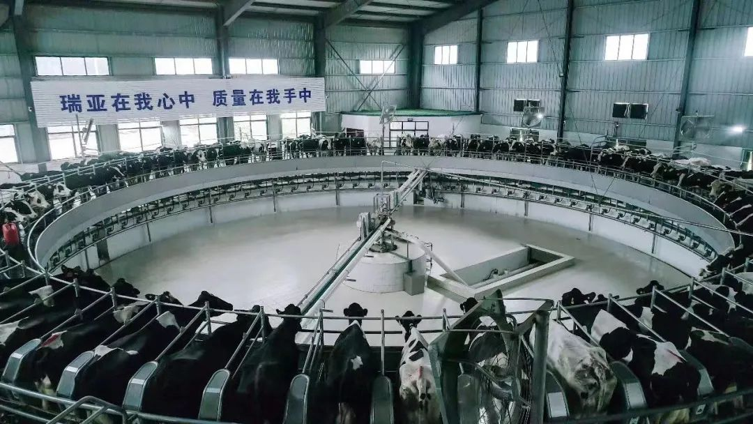 喜讯 | B体育在线平台（中国）官网一座自有牧场入选河南省“DHI测定优秀牧场”