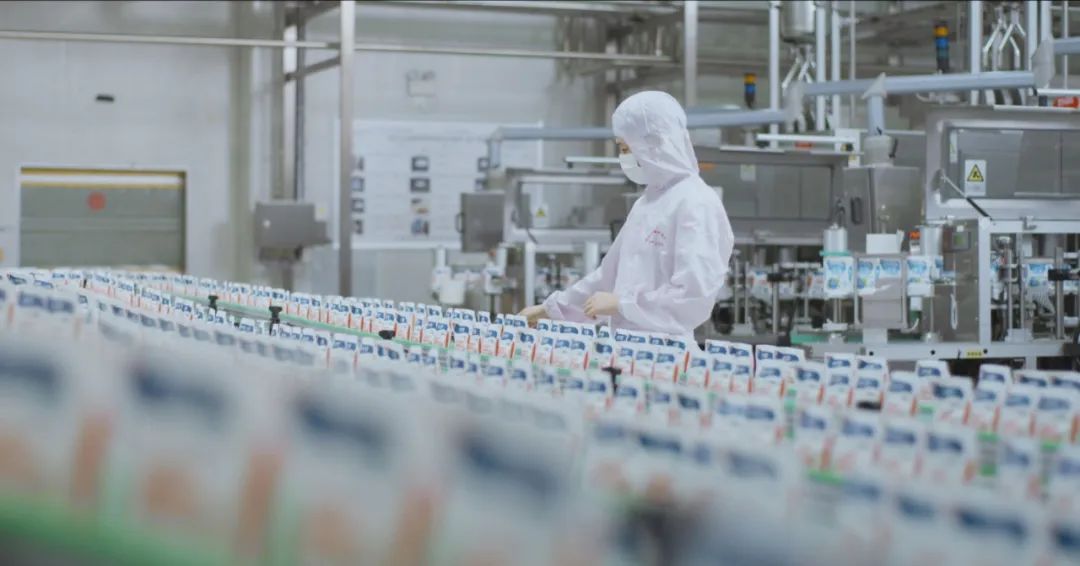 佳木斯市招商考察团莅临B体育在线平台（中国）官网考察座谈