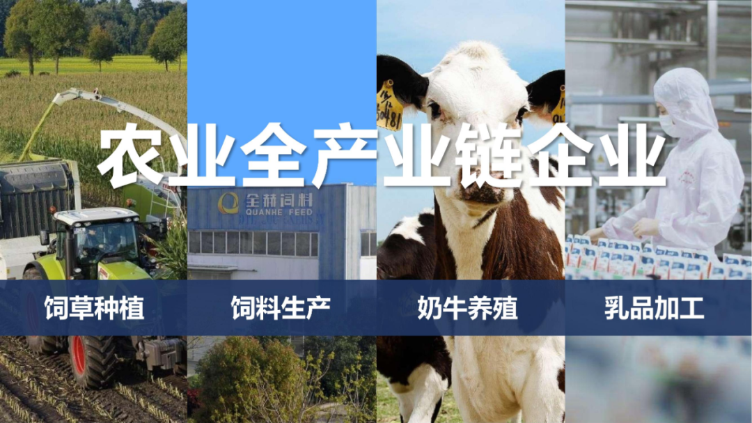 佳木斯市招商考察团莅临B体育在线平台（中国）官网考察座谈