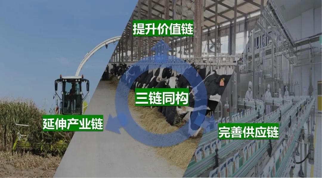 佳木斯市招商考察团莅临B体育在线平台（中国）官网考察座谈