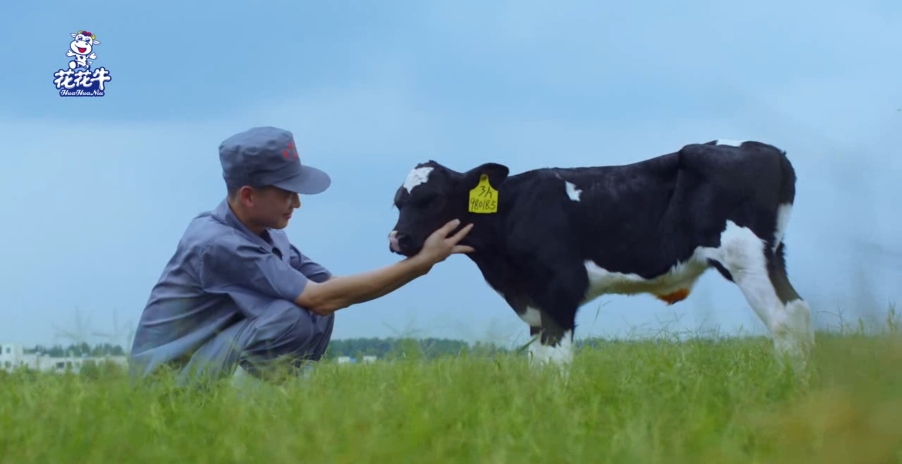 健康河南·振兴奶业｜叶县与B体育在线平台（中国）官网乳业集团举行合作洽谈会