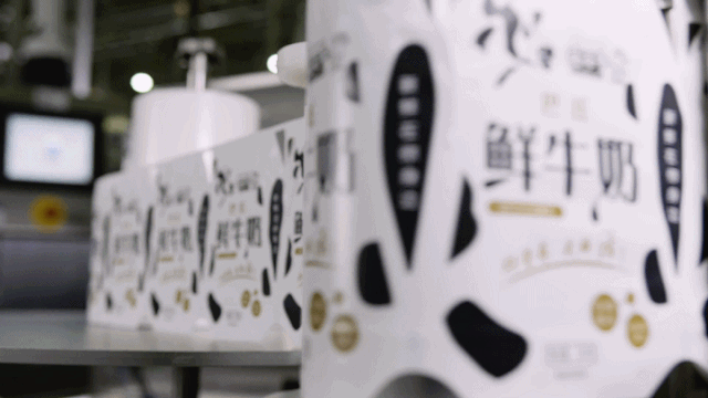 快讯 | B体育在线平台（中国）官网乳业集团成为河南省食品工业协会食品质量安全分会副会长单位