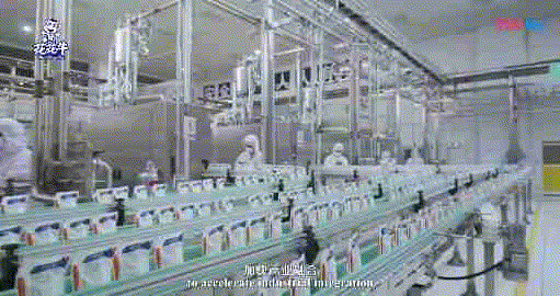 快讯 | 湖北省农业厅副厅长王海涛等领导一行莅临河南B体育在线平台（中国）官网乳业集团参观调研