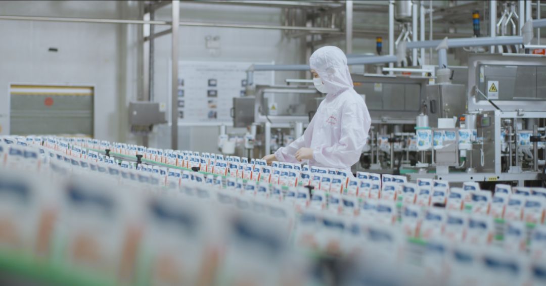 快讯 | 河南省人民政府食品安全委员会办公室第三批食品安全示范区验收组领导莅临B体育在线平台（中国）官网乳业集团验收食品安全示范区建设情况