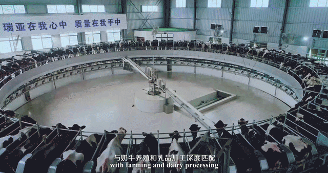荣誉 | 2019年度河南省美丽牧场名单新鲜出炉 B体育在线平台（中国）官网乳业集团旗下六个牧场榜上有名