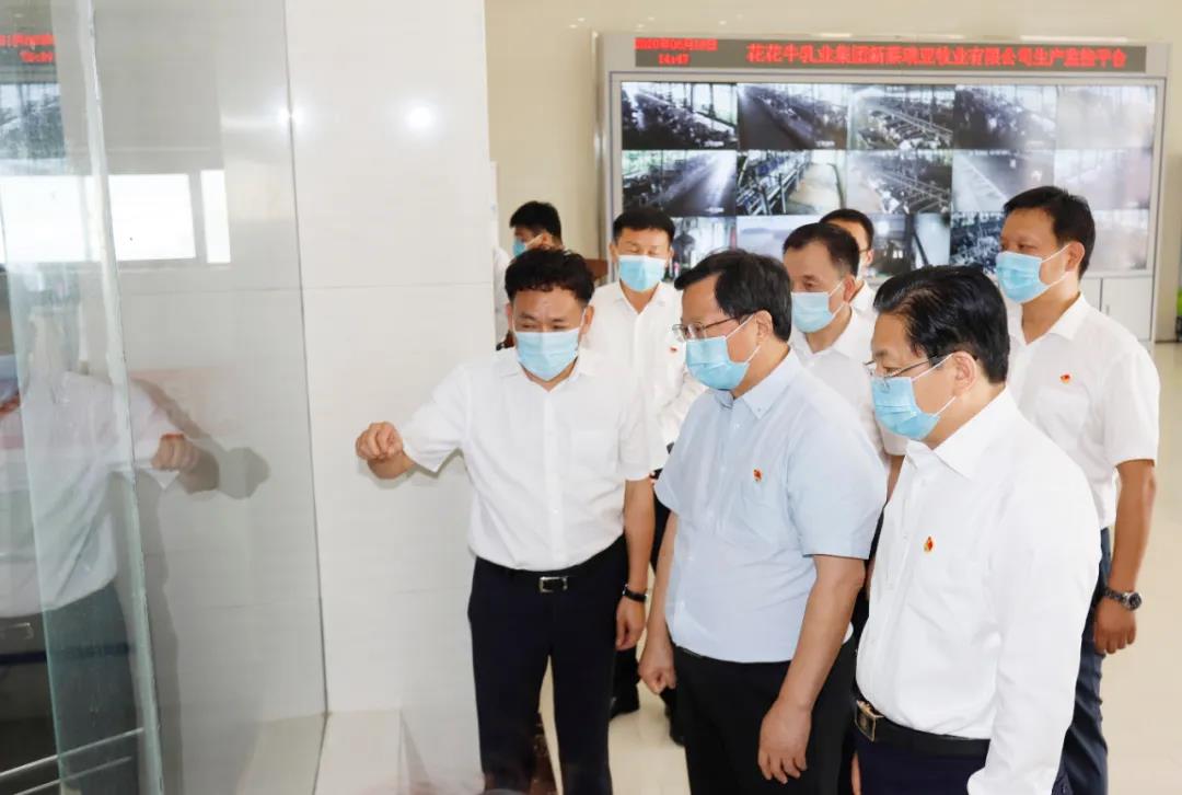 快讯 | 河南省委常委、省纪委书记、省监委主任任正晓莅临B体育在线平台（中国）官网乳业集团新蔡瑞亚牧场调研