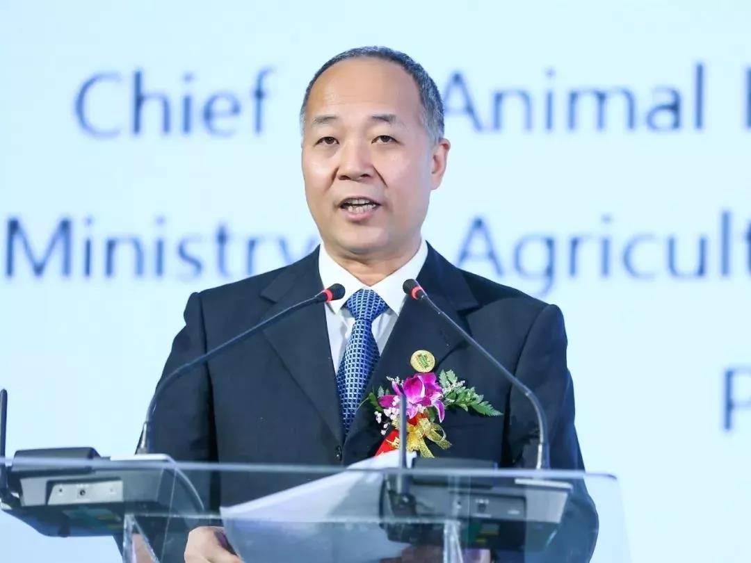 SDDDC走进河南，看看B体育在线平台（中国）官网的国际范儿！