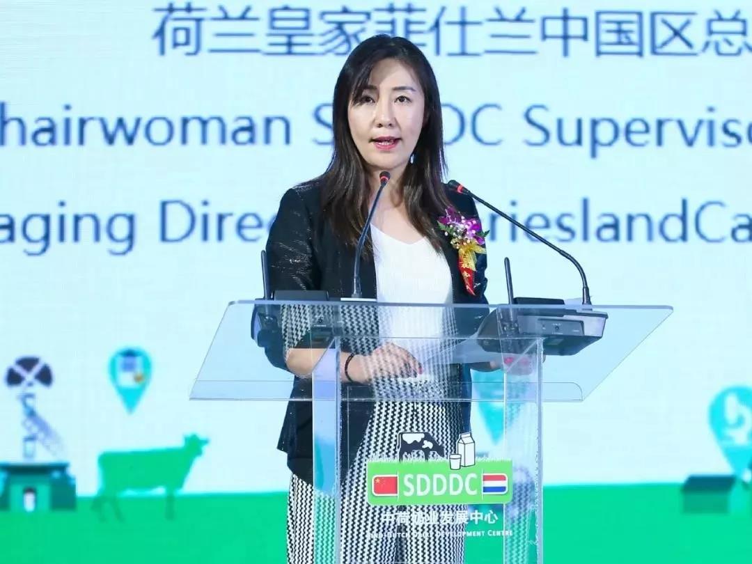 SDDDC走进河南，看看B体育在线平台（中国）官网的国际范儿！