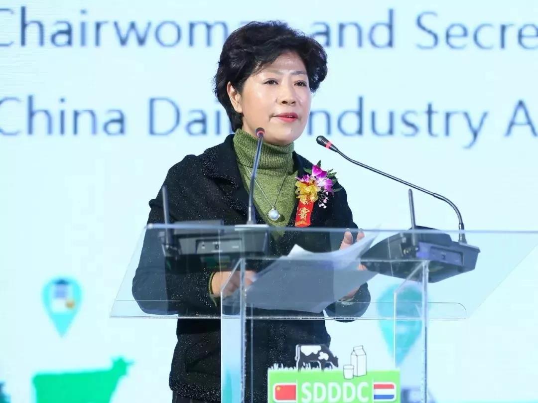 SDDDC走进河南，看看B体育在线平台（中国）官网的国际范儿！