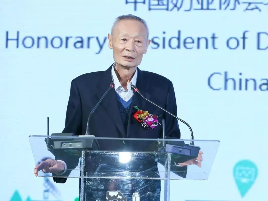 SDDDC走进河南，看看B体育在线平台（中国）官网的国际范儿！