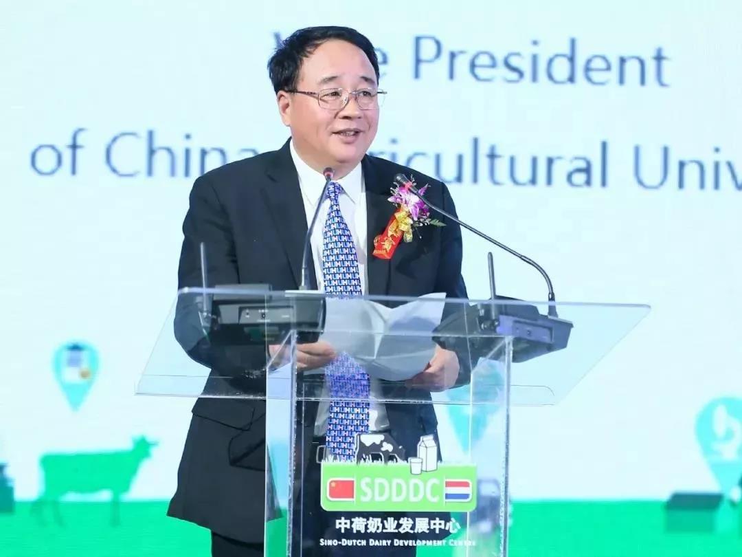 SDDDC走进河南，看看B体育在线平台（中国）官网的国际范儿！