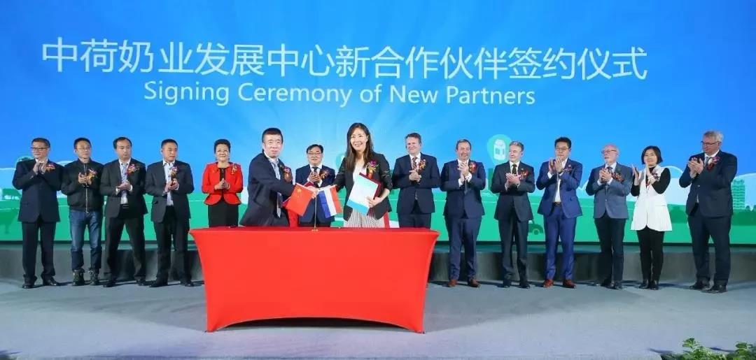 SDDDC走进河南，看看B体育在线平台（中国）官网的国际范儿！