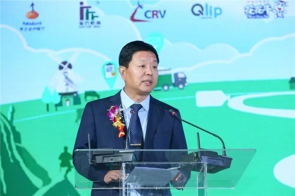 SDDDC走进河南，看看B体育在线平台（中国）官网的国际范儿！