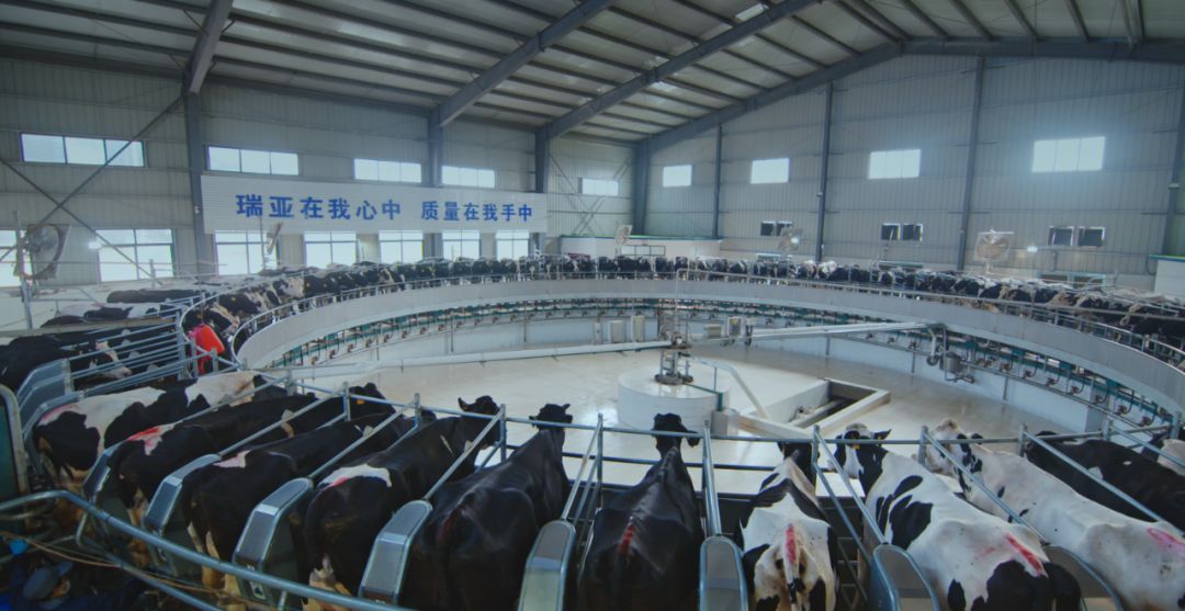 B体育在线平台（中国）官网集团旗下六家公司入选省农业产业化重点龙头企业名单