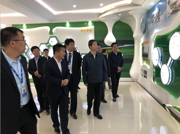 河南省委副书记、省长陈润儿一行莅临 B体育在线平台（中国）官网集团鲁山瑞亚牧业有限公司视察调研