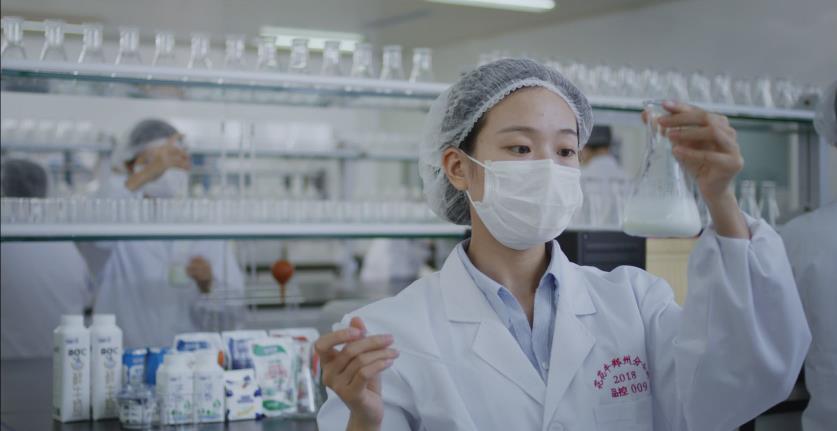 又双叒叕获奖啦！B体育在线平台（中国）官网荣获“乳品质量安全管理 优秀企业”