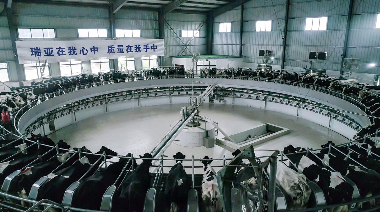 又双叒叕获奖啦！B体育在线平台（中国）官网荣获“乳品质量安全管理 优秀企业”