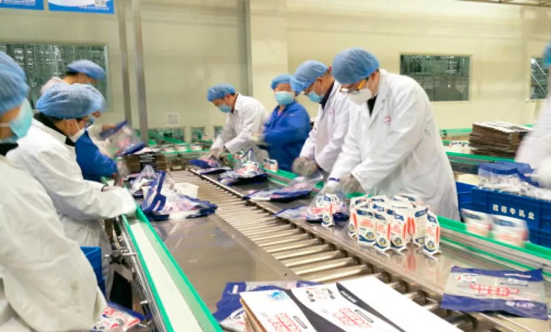 快讯丨河南省副省长武国定莅临B体育在线平台（中国）官网乳业集团调研重点保障企业复工复产情况