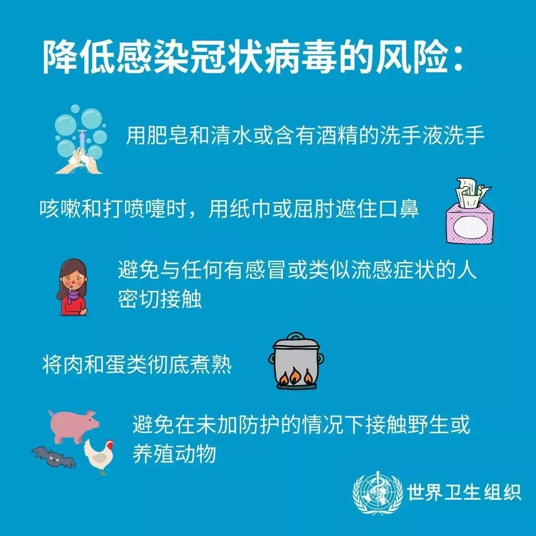 B体育在线平台（中国）官网 | 共克时艰、遏制疫情，请相信国家力量！
