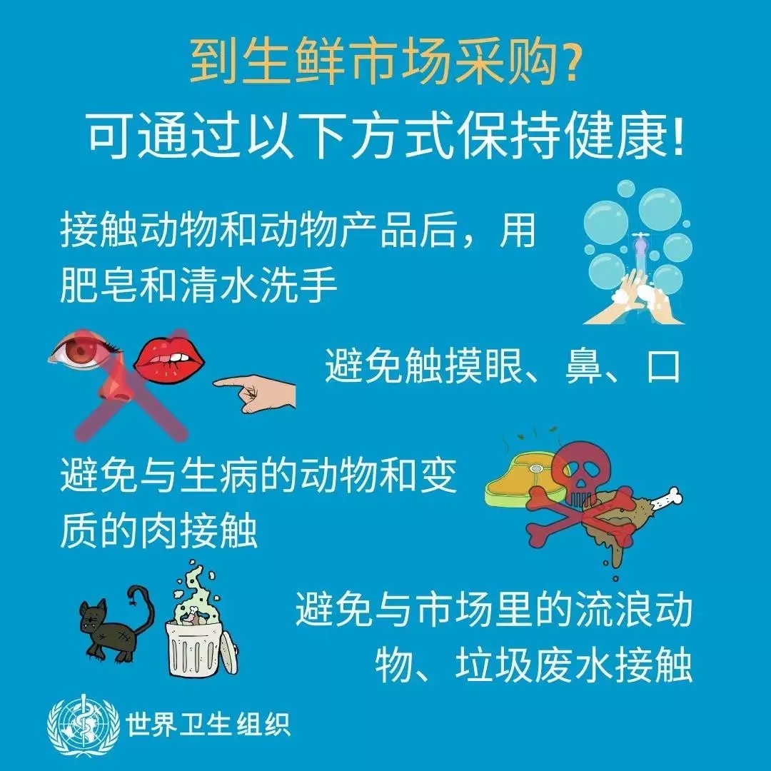 B体育在线平台（中国）官网 | 共克时艰、遏制疫情，请相信国家力量！