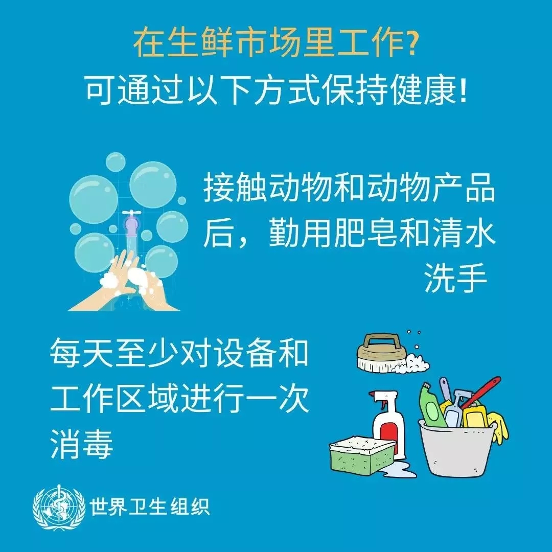 B体育在线平台（中国）官网 | 共克时艰、遏制疫情，请相信国家力量！