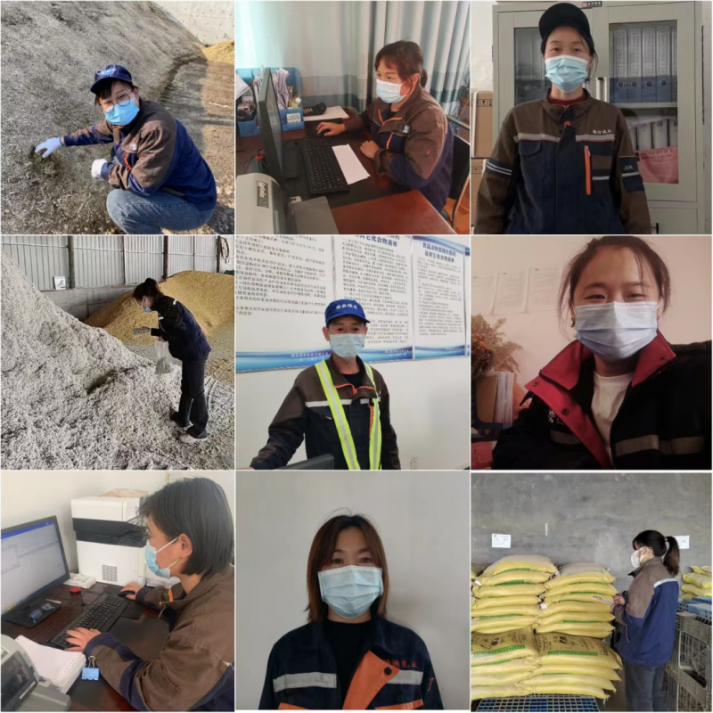 B体育在线平台（中国）官网丨点点微光汇星河——养殖事业部抗疫保生产侧记