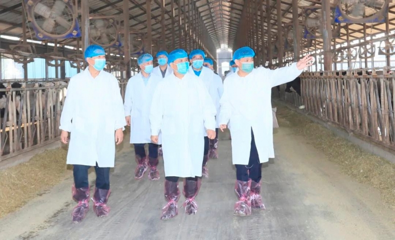 快讯丨河南省人民政府副省长武国定莅临B体育在线平台（中国）官网乳业集团瑞亚牧业调研奶源基地建设情况