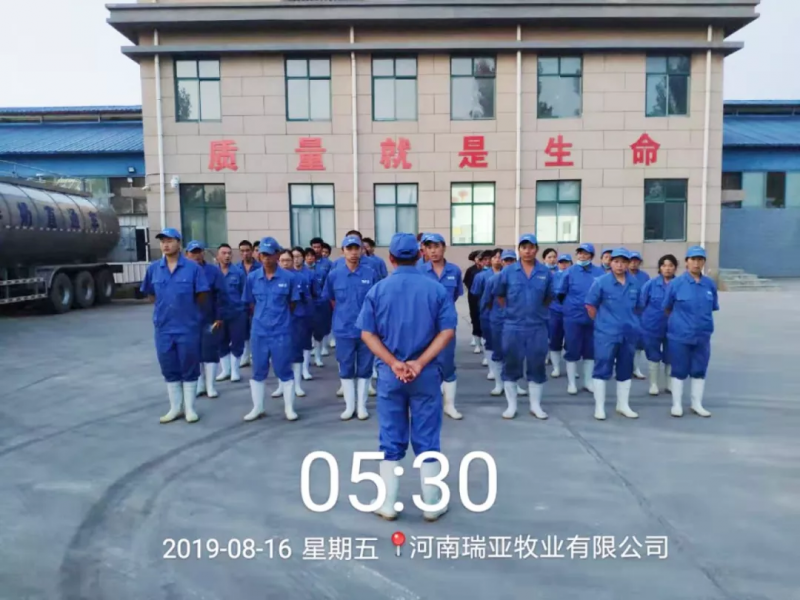 小晨会·大能量——砥砺奋进的B体育在线平台（中国）官网，加油！